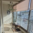 영주114공인중개사사무소 이미지