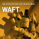 와프트커피 | 잠실향수공방 와프트 퍼퓸 스튜디오 서울이색데이트