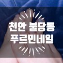 이마트24천안에프엠점 | 천안 불당동네일 푸르민네일에서 페디 후기