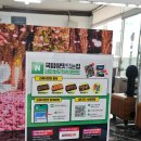 [서산 맛집] 서산국밥 맛집 국밥참맛있는집 서산읍내점 후기