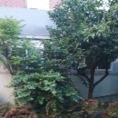 황금회관 이미지