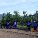 김광수농장 이미지