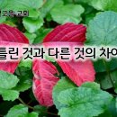 6월 17일(월) 틀린 것과 다른 것의 차이! 이미지