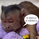 (주)청룡자원 | 네이버 부스트캠프 9기 후기 | 부캠, 나!