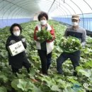 매산영농조합법인 이미지