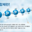 (주) 엘리시움파트너스