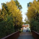 화랑공원 이미지