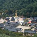 법주사 - 1597 | 법주사