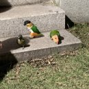 해동민박 이미지