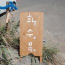 카페화수목