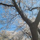 김포농협 하나로마트 이미지