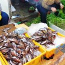 대정오일시장 이미지