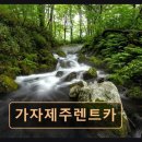 ㈜가자제주렌트카 | 제주시 렌트카 가자제주렌트카 가자제주렌트카 편리한 픽업·가성비 만족 최고