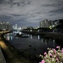 26110-600-006-002 | [100일 챌린지 6일차] - 유연성 0점에서 시작하는 다리 찢기 | 스트레칭 루틴과 체중 요요 분석