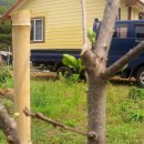 혁이네농장 이미지