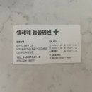 셀레네동물병원 이미지