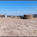 법수-8 Daum카페