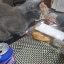 검배로136번길 이미지