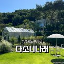 다소니펜션 | 경기도 | 인천 | 강화 | 다소니나래