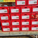 일미농원 이미지