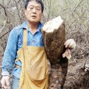 대성건강원 이미지