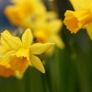 복지행정사사무소 이미지