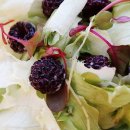 성일농장 이미지