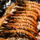 옥샘캠핑장 이미지