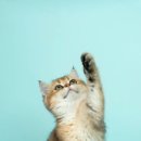 미사대한약국 이미지