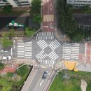 용인시 처인구 용마초등학교 경기경제신문
