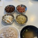 2025.EP. 1045. 캐나다 토론토 한국의 엽기떡볶이 후기