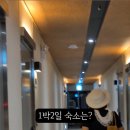 브라운도트 제천화산점 이미지