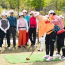 파크골프 이미지