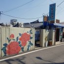 강진6호 이미지