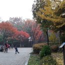 만추 - 달성군 | 만추
