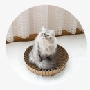 해밤