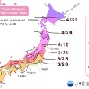 주식회사 벚꽃