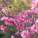 천시원교육농장 이미지