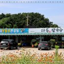 다복손칼국수 - 안산시 상록구 성호로 58 | 다복손칼국수