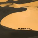 장엄한 사하라 Sahara 사막 이미지