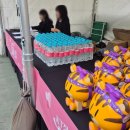 드림스포츠랜드 | KT초대드림 응모 안 하면 손해? 에버랜드부터 KT위즈...실제 현장 후기 (에버랜드 주차요금 포함)