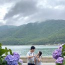 거제제일해양(주) | 거제 저구항 수국동산 실시간 | 7월 거제 수국 명소 개화 상황, 포토존