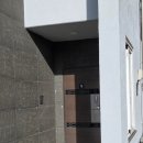 더블스테이 또또멍5호 이미지