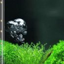 먹이창고 이미지