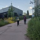 우리들의 블루스 이미지