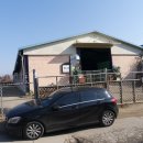 씽크독스쿨 이미지