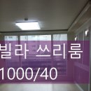 동문초등학교 앞 이미지