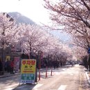 모악산주차장 Daum카페