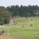 웅지승마센터 이미지