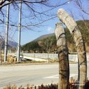 솔돌민박 네이버블로그